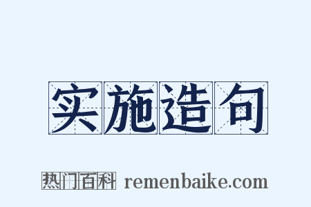 实施造句是什么意思的图片